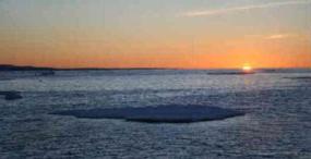 Гренландское чудо пока не имеет научных объяснений