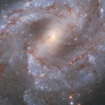 Изображение галактики NGC 2525 и сверхновой SN 2018gv (яркая звезда у левого края снимка), полученное «Хабблом».