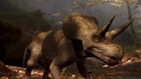 Канадские палеонтологи обнаружили неизвестных рогатых динозавров