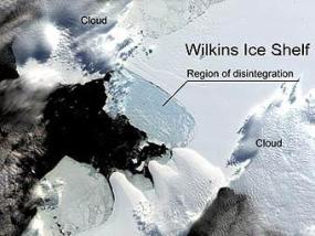 Шельфовый ледник Уилкинса рушиться