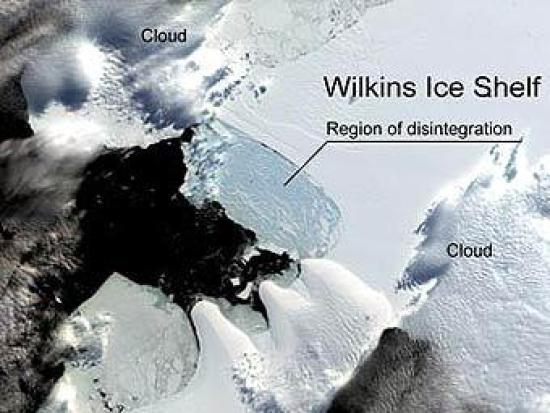 Изображение шельфового ледника Уилкин...
