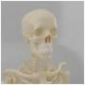 В Грузии найден скелет 3-хметрового человека
