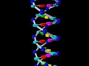 У генома обнаружили странную привязанность к "ненужной" ДНК