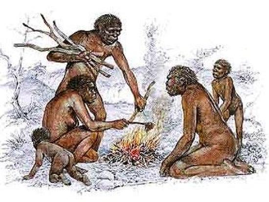 	  Художник изобразил Homo erectus, р...