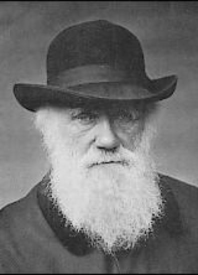 Чарльз Роберт Дарвин. Фотография 1880...