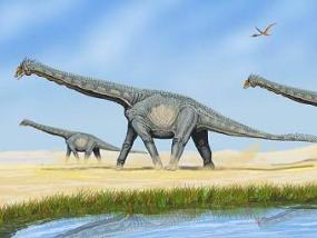 Длинношеие динозавры не поднимали головы