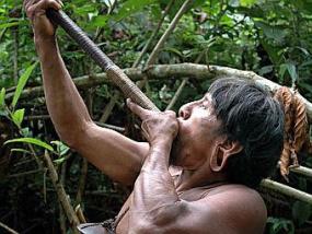 Агрессия оказалась вредной для амазонских племен