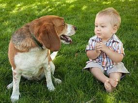 Маленькие дети оказались способны понимать собак