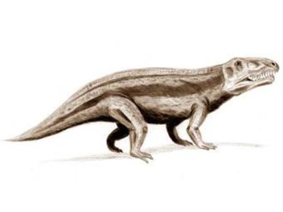 Древняя рептилия рода Erythrosuchus п...