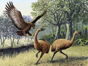 Ученые подтвердили легенду о гигантской птице-людоеде