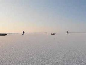 Ученые заявляют – к 2030 году в Арктике исчезнет лед