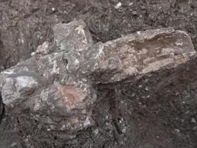Израильские археологи обнаружили остатки древнего дома