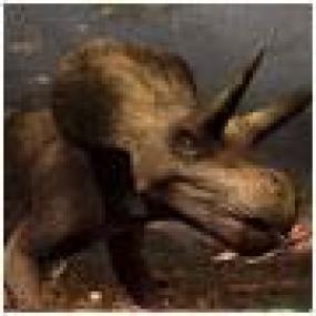 Япония: тайны динозавров юрского периода 