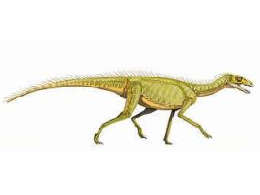 Палеонтологи состарили динозавров на 10 миллионов лет