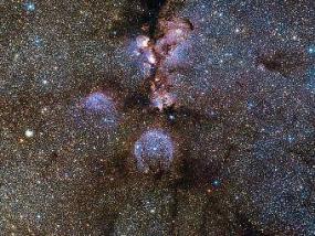 Астрономы разглядели звезды в Кошачьей Лапе