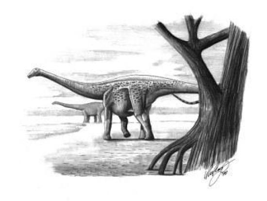 Magyarosaurus dacus. Иллюстрация Miha...