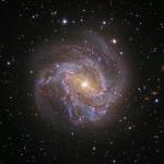 Галактика Южная Вертушка Изображение:...