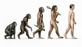 В ЮАР нашли «недостающее звено» в эволюции от обезьяны к человеку