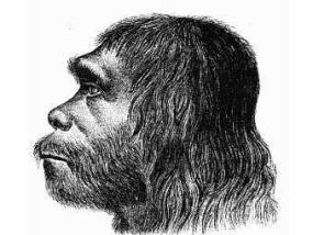 Ученые "состарили" британских неандертальцев на 40 тысяч лет