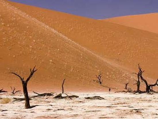 Пустыня Намиб в Африке. Фото пользова...