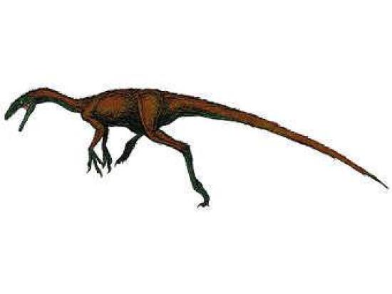 Динозавр Coelurus fragilis из группы ...