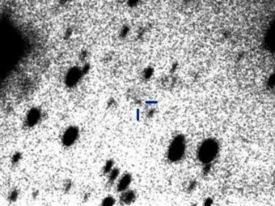 Комета Хейла-Боппа. Фото авторов иссл...