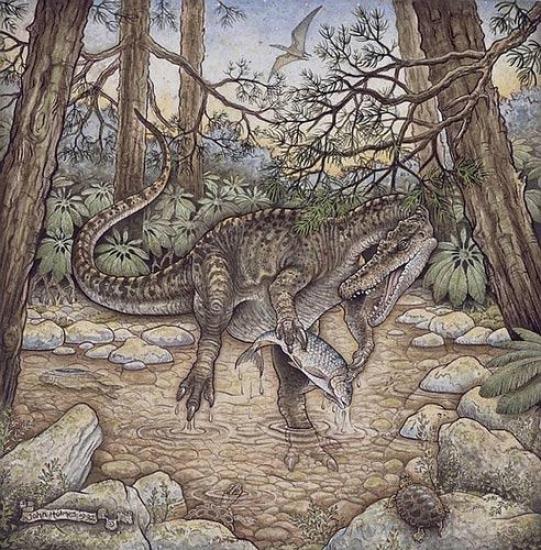 Спинозавр Baryonyx walkeri, живший в ...