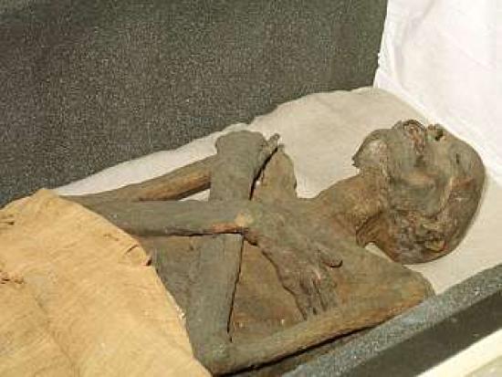 Древнеегипетская мумия. Фото с сайта ...