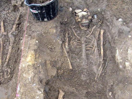 Один из скелетов, найденных в захорон...