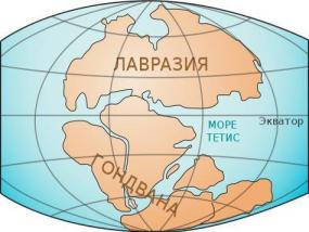 Исследователи нашли легендарную Гондвану