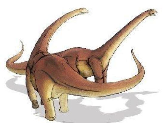 Предполагаемый вид аламозавров. Иллюс...