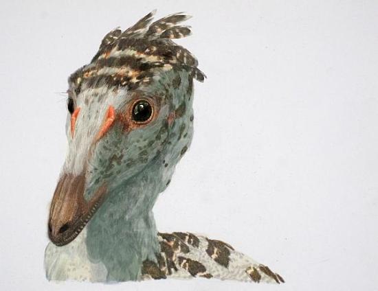 Целурозавр Troodon formosus — один из...