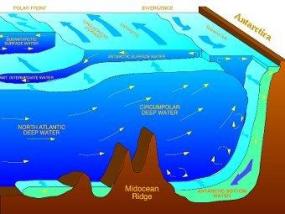 Антарктика потеряла более половины придонных вод