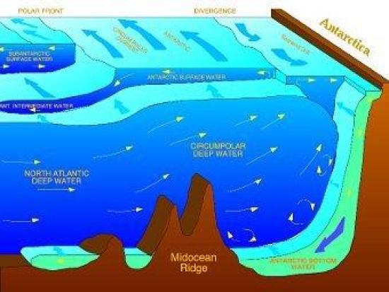 Схема течений в Антарктике. Придонные...