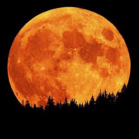 Луна в полнолуние 6 мая будет ярче и больше, чем обычно