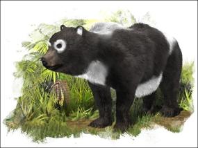 В Испании обнаружен ископаемый предок панды