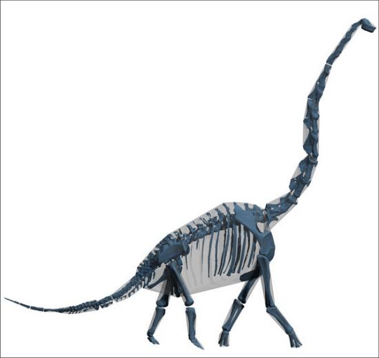 Компьютерная модель брахиозавра: кост...