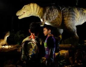 Динозавры, вероятно, были теплокровными животными