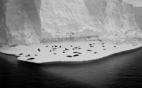 Геологи доказали таяние Антарктиды в прошлом