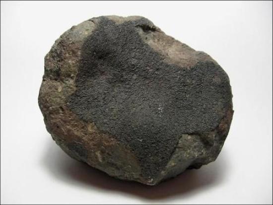 Один из фрагментов метеорита «Альенде...