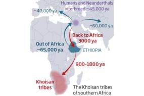 У африканцев нашли европейские корни
