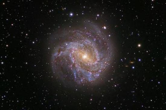 Галактика Южная Вертушка Изображение:...