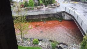В Швейцарии река окрасилась в кровавый цвет