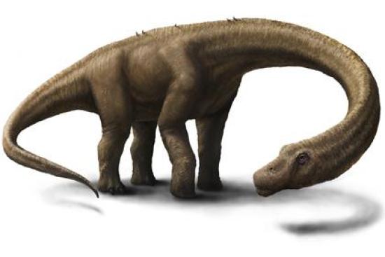Dreadnoughtus schrani. Изображение: J...
