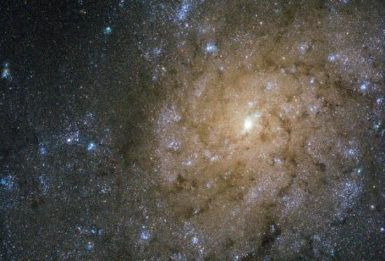 NGC 7793. Фото: ESA/Hubble & NASA, Ac...