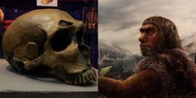 Учёные доказали, что неандертальцы были отдельным видом