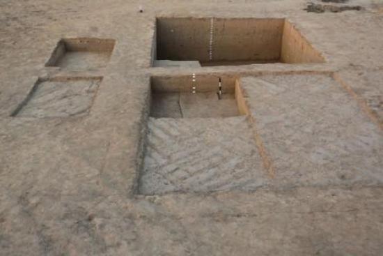Место раскопок Хараппской цивилизации...