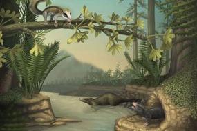 Найдены древнейшие землеройные и лазающие по деревьям млекопитающие