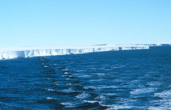Шельфовый ледник Росса. Фото: wikiped...