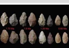 Археологи нашли самые древние каменные орудия